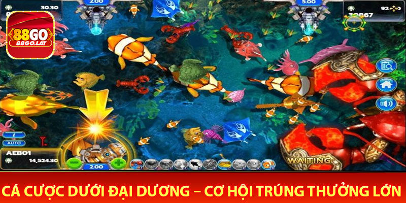 Cá Cược Dưới Đại Dương – Cơ Hội Trúng Thưởng Lớn