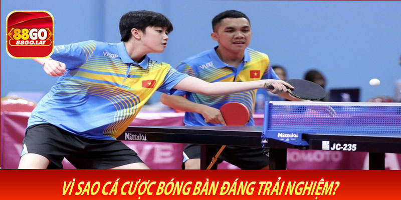 Vì Sao Cá Cược Bóng Bàn Đáng Trải Nghiệm?